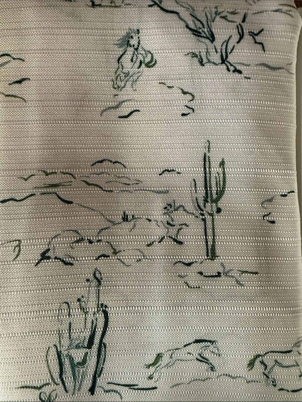Wrangler White & Green Desert Cactus Shower Curtain Set